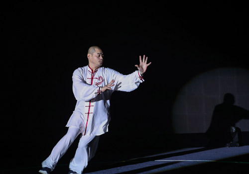 PIONEER 20th Anniversary Celebration Successfully Held 8 Martial Arts-Chinese Kungfu
